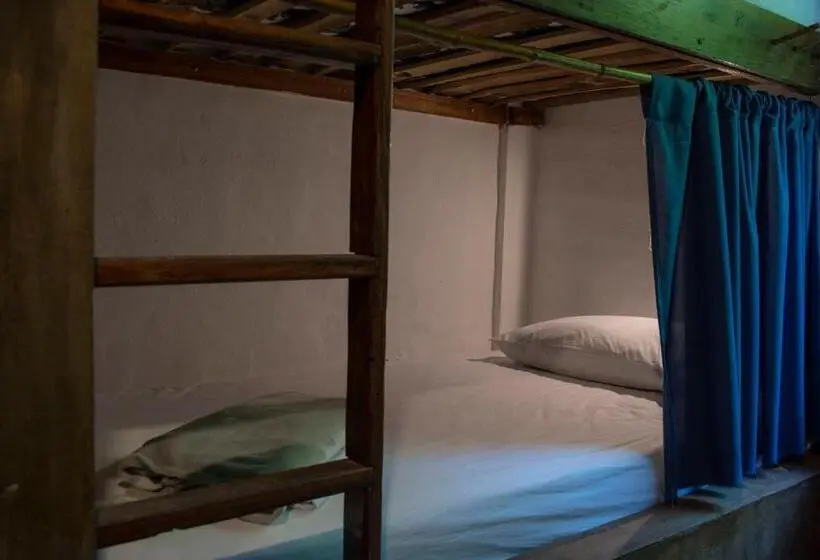 تختخواب در اتاق مشترک, Cinnamon House