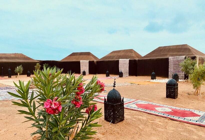 Standard Tent, Sahara Wellness Camp