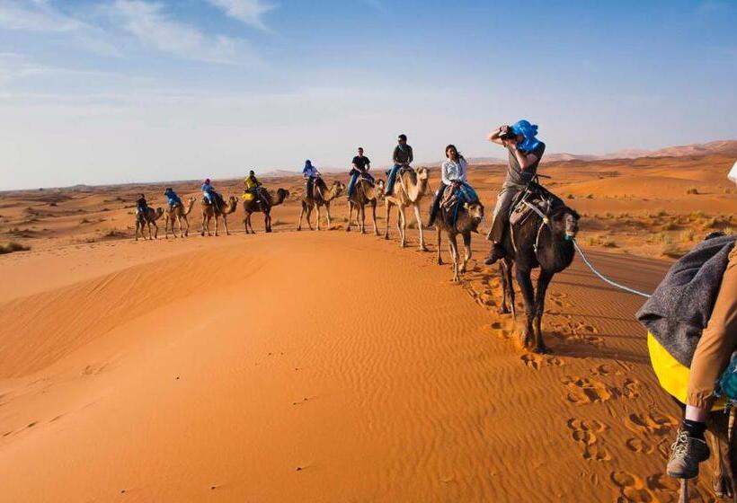 Standard Tent, Sahara Wellness Camp