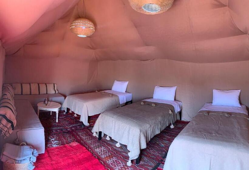 Standard Tent, Sahara Wellness Camp