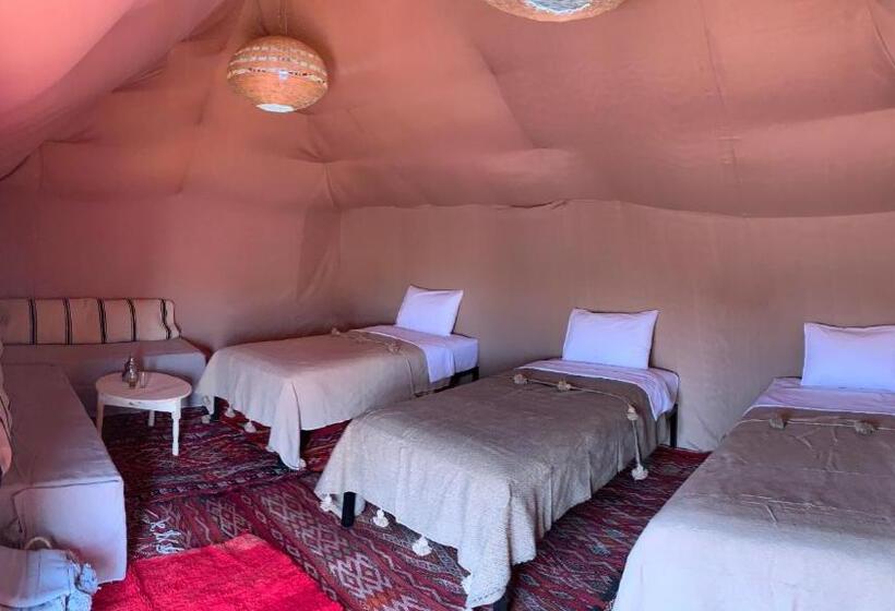 Standard Tent, Sahara Wellness Camp