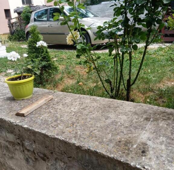 اتاق استاندارد با چشم‌انداز باغ, Rzav