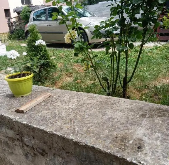 اتاق استاندارد با چشم‌انداز باغ, Rzav
