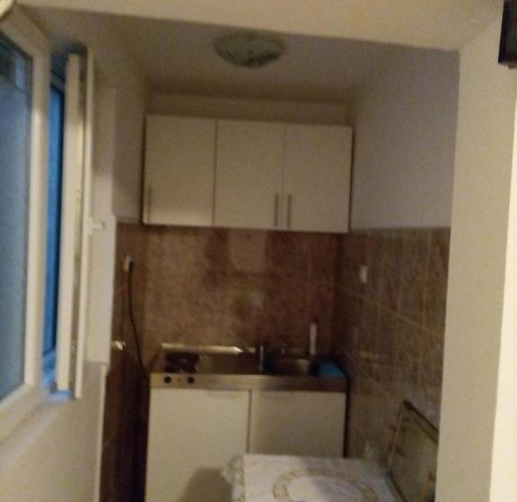 اتاق استاندارد با چشم‌انداز باغ, Rzav