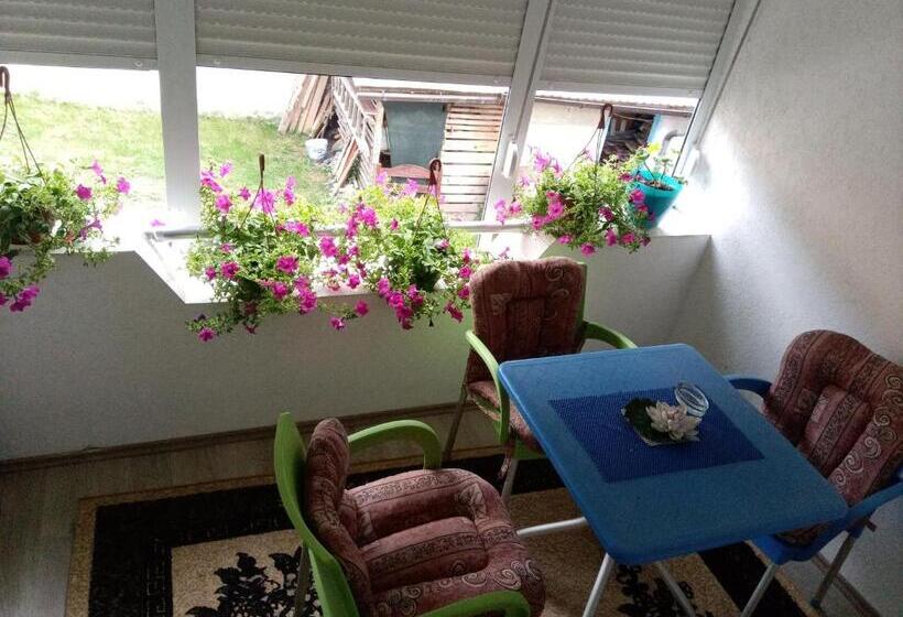 اتاق لوکس سه تخته, Rzav