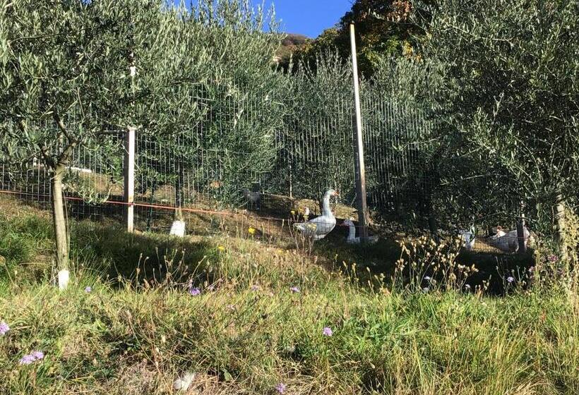 חדר משפחתי דלוקס, Agriturismo Al Robale