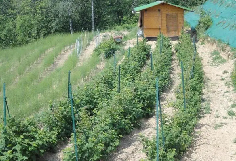 デラックスファミリールーム, Agriturismo Al Robale