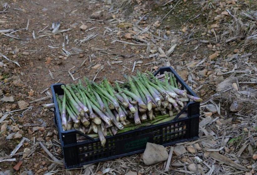 חדר משפחתי דלוקס, Agriturismo Al Robale