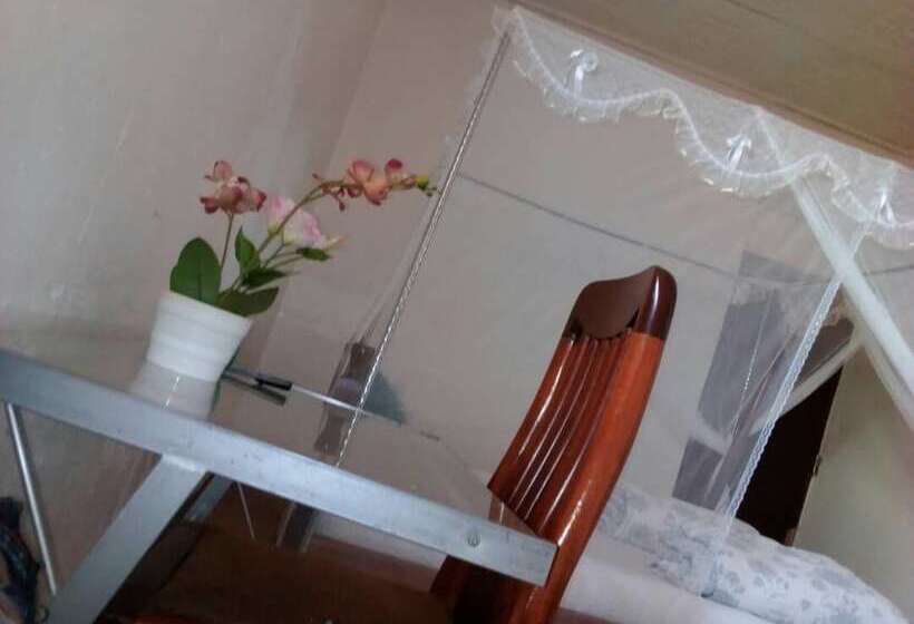 آپارتمان عادی 1 خوابه, Rena Akasha Establishments