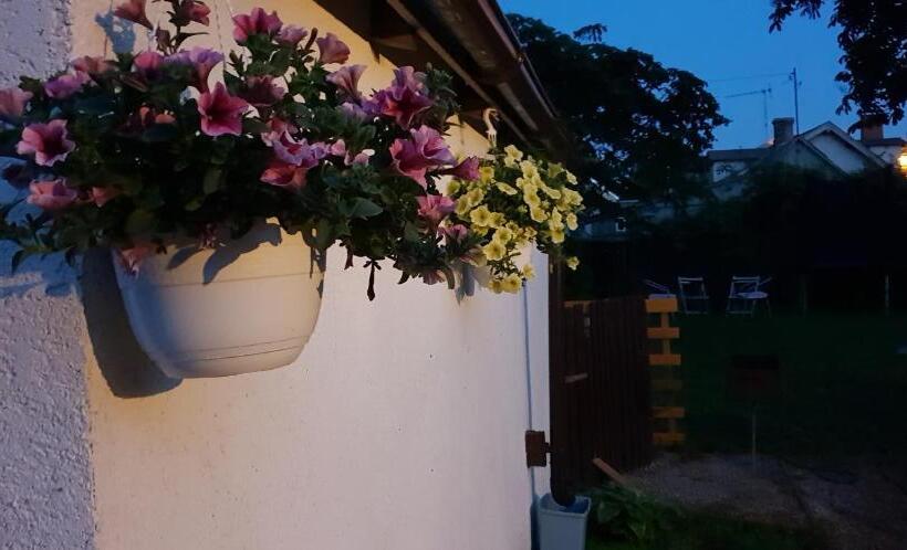 آپارتمان 1 خوابه, Martin Guest House