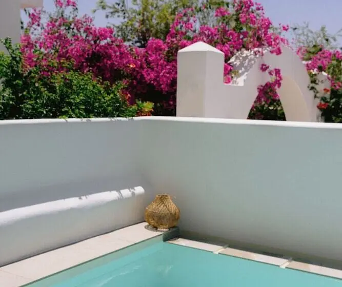 Suite with Pool, Mr & Mrs White Paros Suites & More