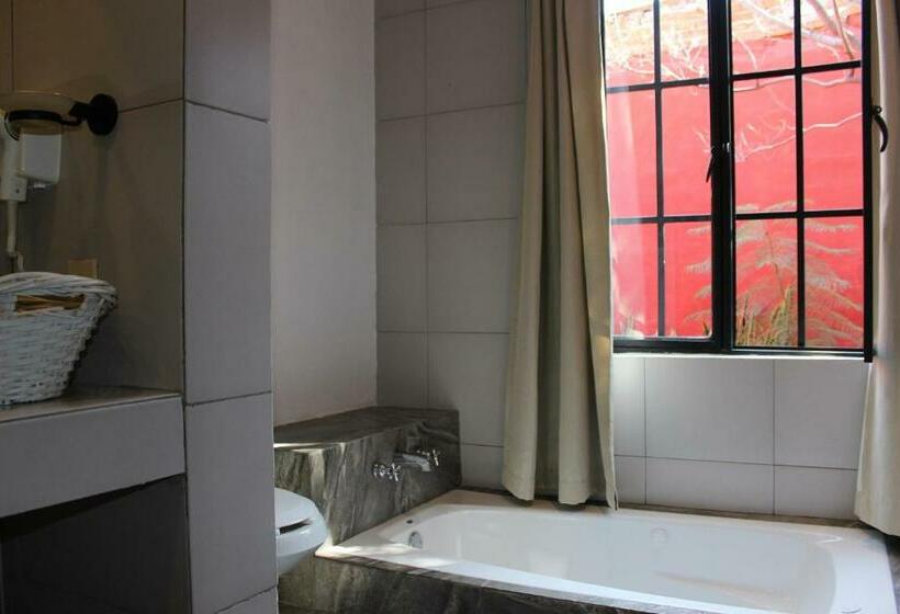 バスタブ付きデラックスルーム, Real De Piedra