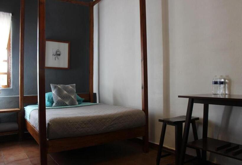 スタンダードルーム, Real De Piedra