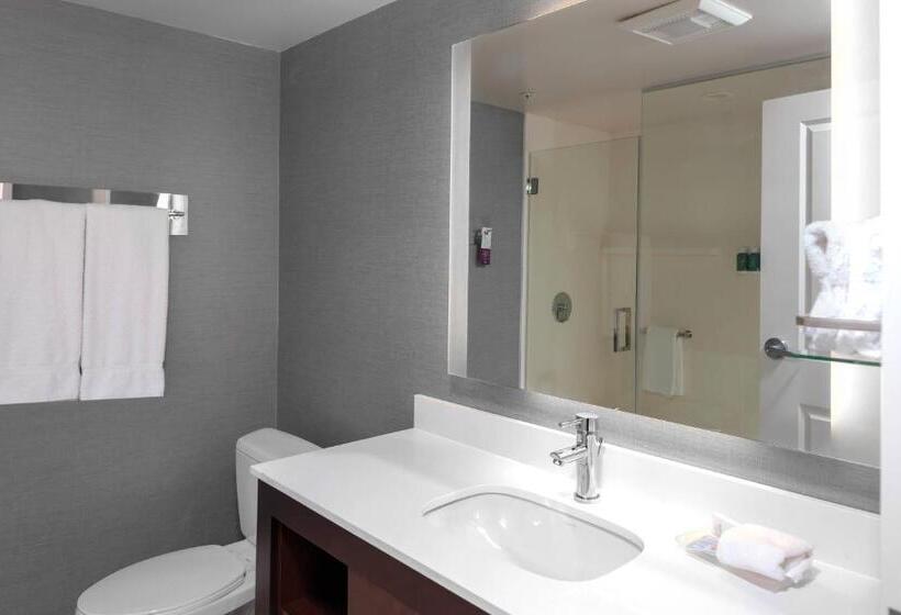 Студио Стандарт Кровать Кинг, Residence Inn By Marriott Atlanta Mcdonough