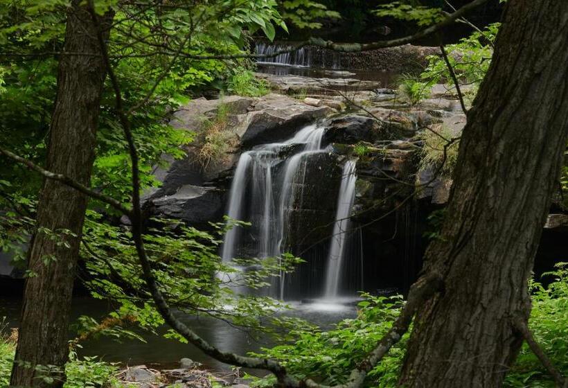 Четырехместный Номер Deluxe, Woodstock Way