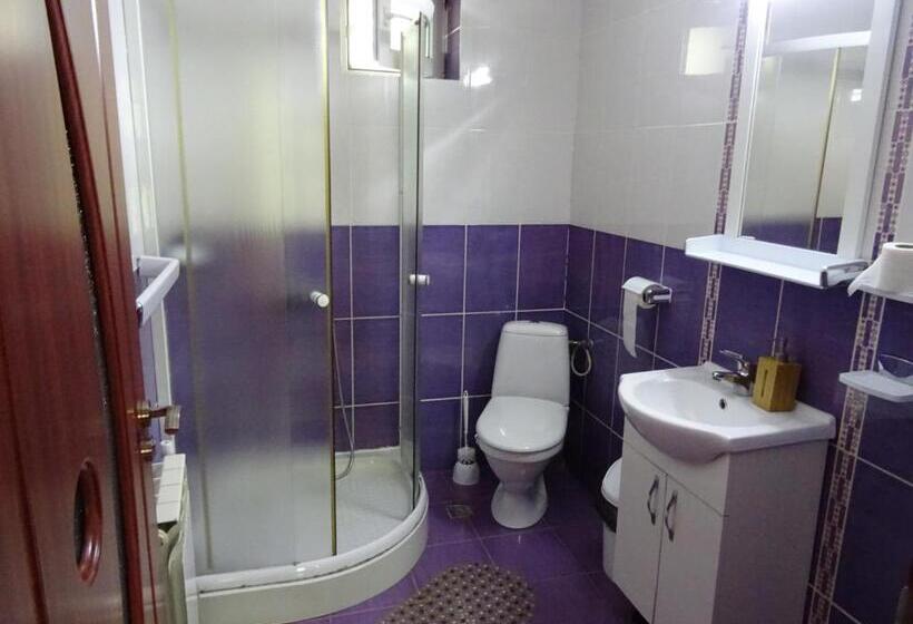 غرفة قياسية ثلاثية, Pensiunea La Tase