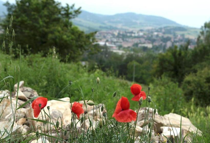 جناح جونيور مزوَّد بتراس, La Maesta