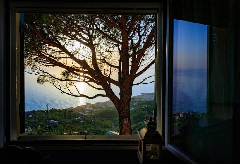 スタンダードルーム, Olivenere Agriturismo