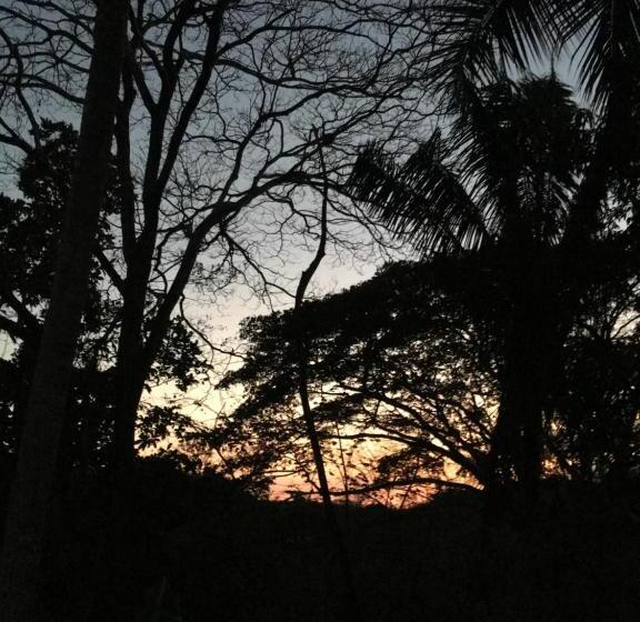 스위트, Casa Taupe