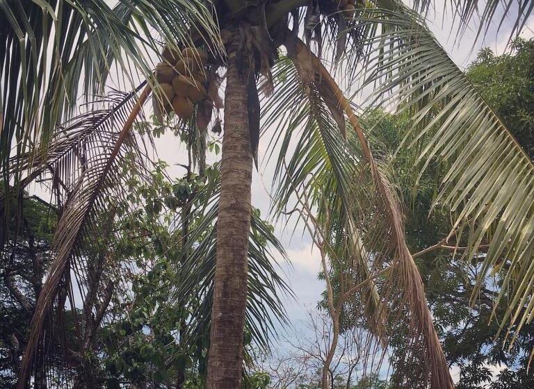 스탠다드 트리플 룸, Casa Taupe