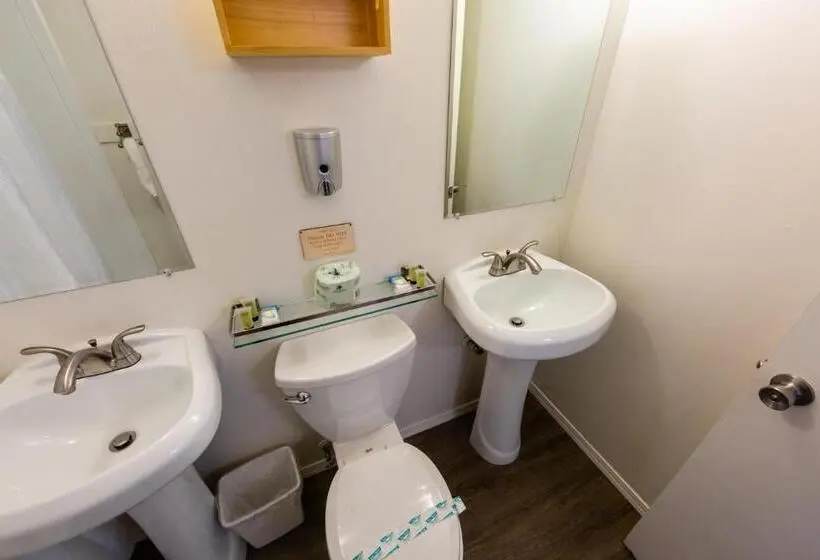 デラックスルーム, Arbor Inn Motel Oakridge
