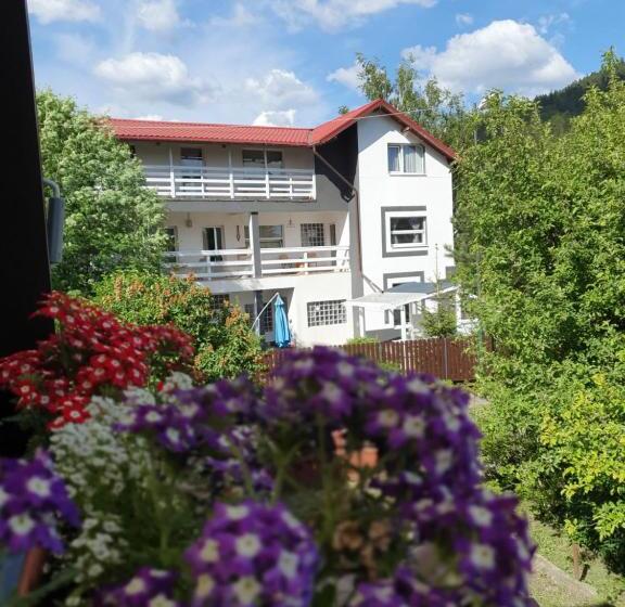 Dom 1 Sypialnia, Casa David