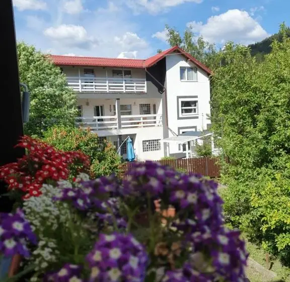 خانه 1 خوابه, Casa David
