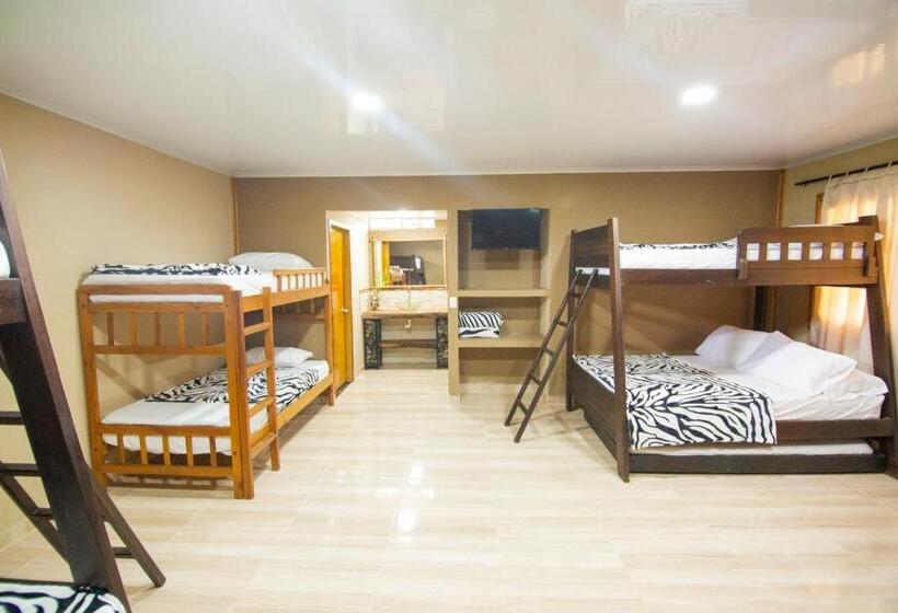 Семейный Номер, Finca Hotel Yerbabuena