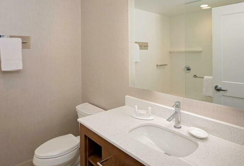 إستوديو قياسى سرير كينج, Residence Inn By Marriott Charleston Summerville