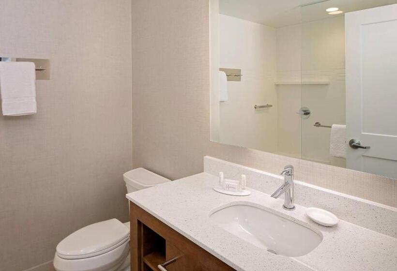 Люкс Кровать Кинг, Residence Inn By Marriott Charleston Summerville