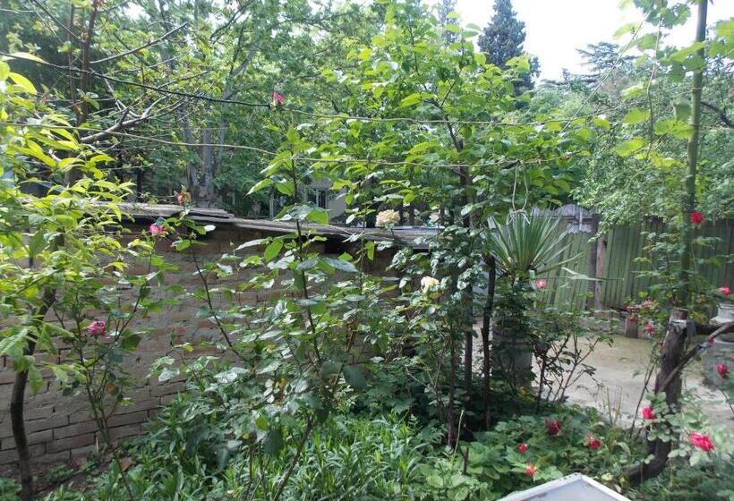 سوییت خانوادگی, Babibu