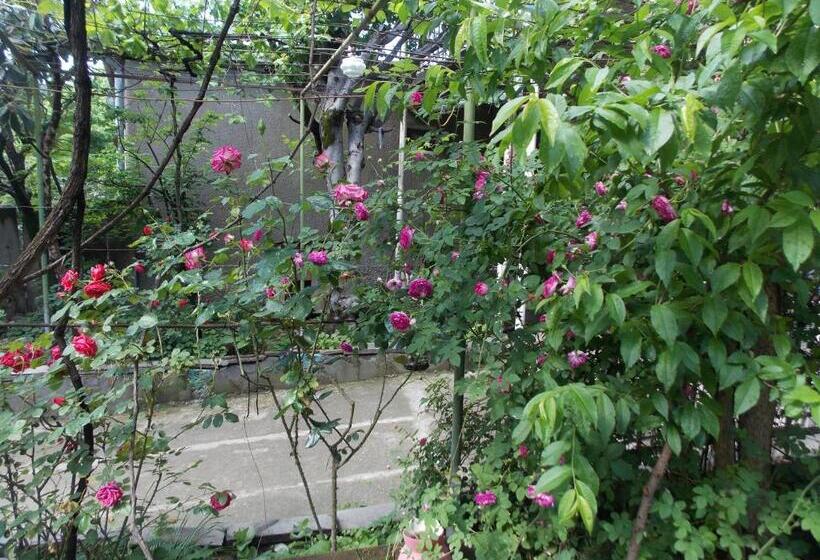 سوییت خانوادگی, Babibu