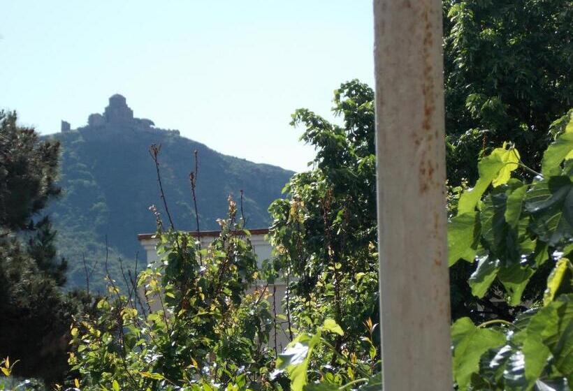 اتاق خانوادگی, Babibu