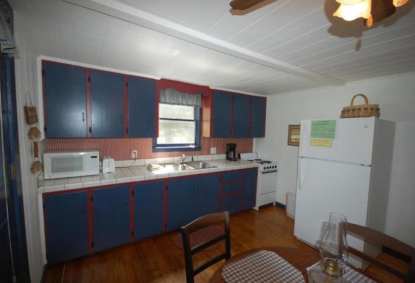 标准间, Mountain Springs Cabins