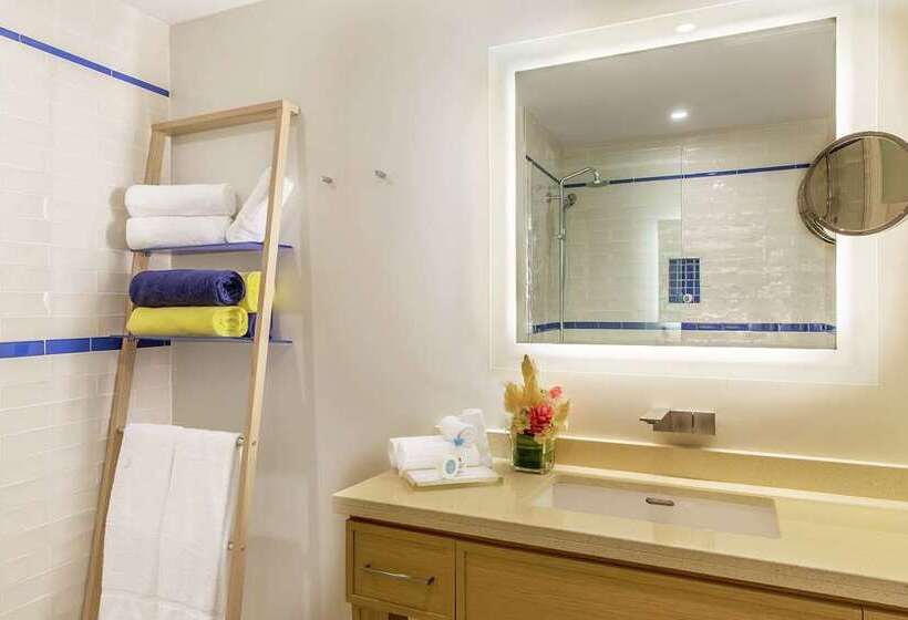 스탠다드 룸 킹사이즈 침대, The Lodge At Gulf State Park, A Hilton