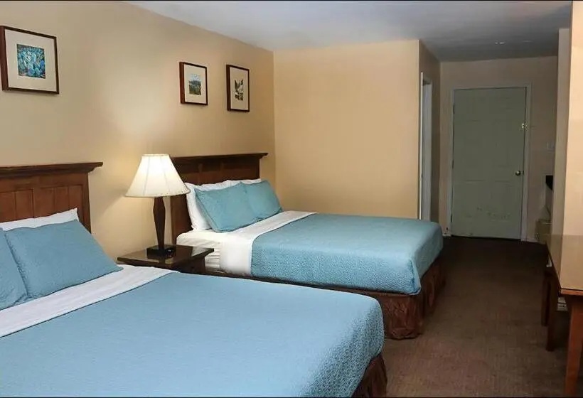 デラックスルーム, Antler Motel