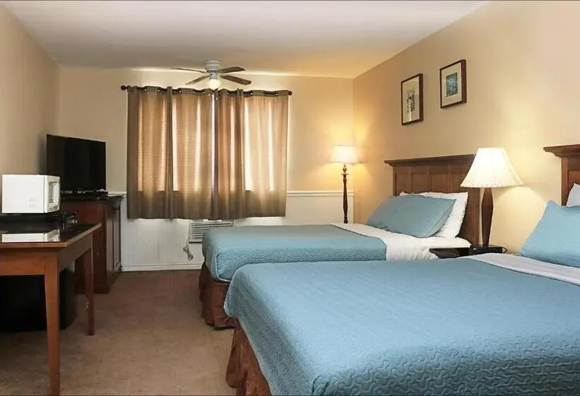 デラックスルーム, Antler Motel