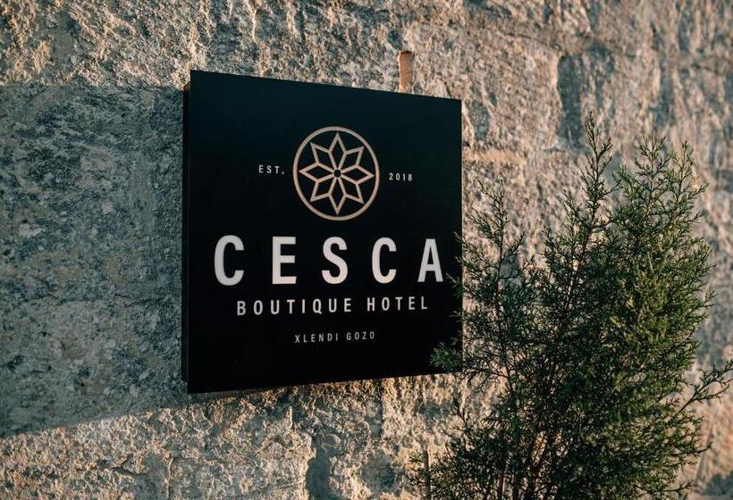 اتاق استاندارد, Cesca S Boutique