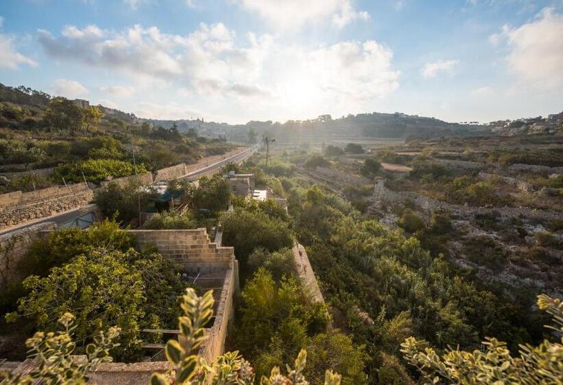 اتاق کلاسیک, Cesca S Boutique