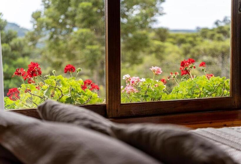 جناح, Pousada Rural Vista Alegre