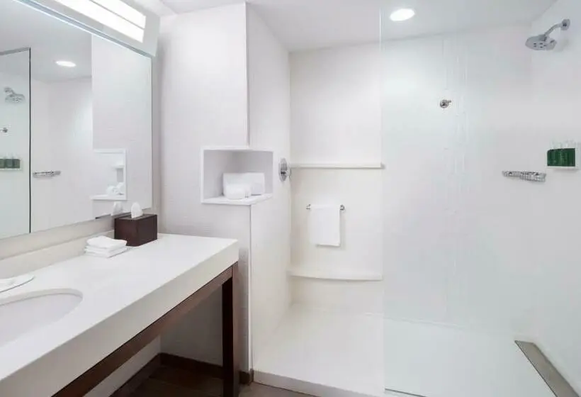 اتاق استاندارد با تخت بزرگ, Courtyard By Marriott Cape Girardeau Downtown