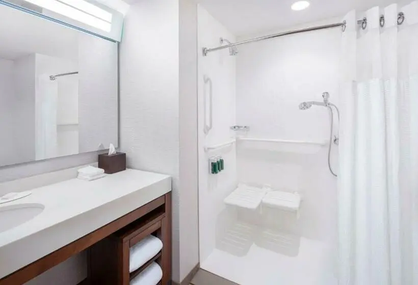 اتاق استاندارد با تخت بزرگ, Courtyard By Marriott Cape Girardeau Downtown