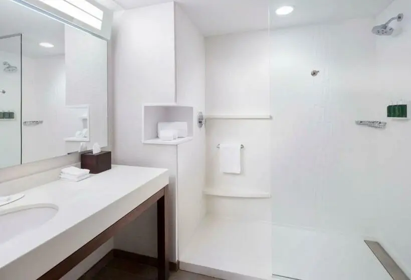 اتاق استاندارد با تخت بزرگ, Courtyard By Marriott Cape Girardeau Downtown