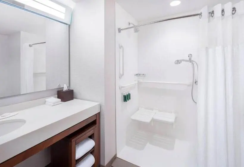 سوئیت با تخت بزرگ, Courtyard By Marriott Cape Girardeau Downtown