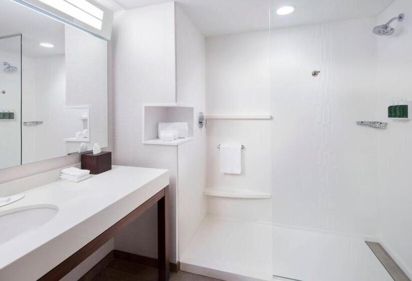 Люкс Кровать Кинг, Courtyard By Marriott Cape Girardeau Downtown