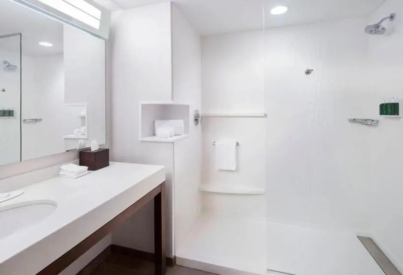 سوئیت با تخت بزرگ, Courtyard By Marriott Cape Girardeau Downtown