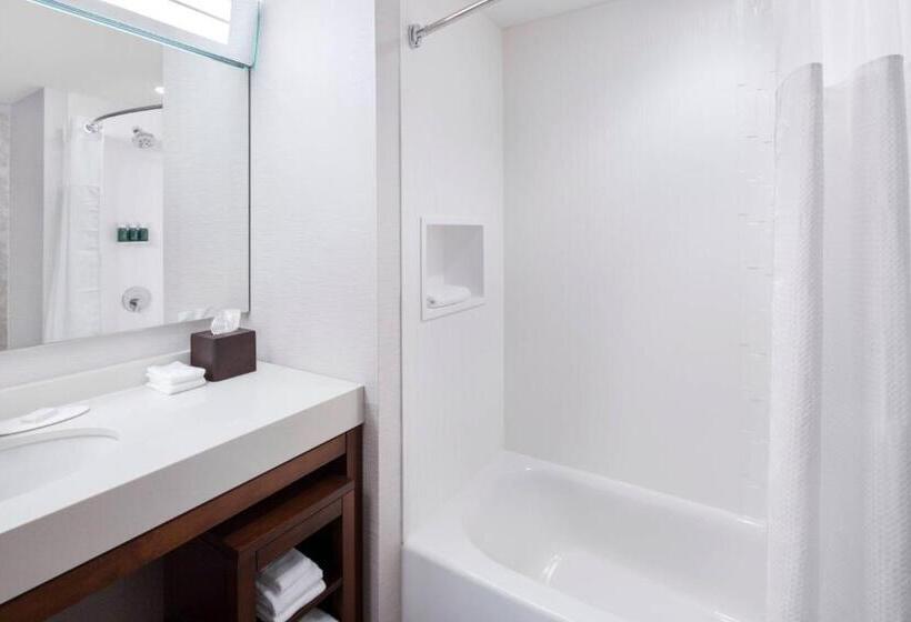 غرفة قياسية, Courtyard By Marriott Cape Girardeau Downtown