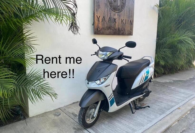 آپارتمان 1 خوابه با چشمانداز باغ, Yaax Kiin Tulum