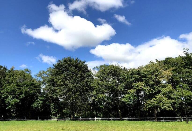 高级家庭房间, Chitose Guest House Oukaen