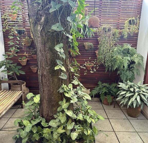 Suíte Deluxe, Pousada Do Barão